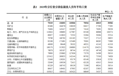 2019年全國規上企業就業人員年平均工資增長10%，軟件和信息技術服務業投資與管理成亮點